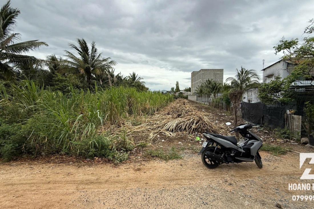 CHÍNH CHỦ GỬI BÁN – LÔ ĐẤT ĐẸP P. ĐẠO LONG CÁCH ĐƯỜNG THỐNG NHẤT 500M