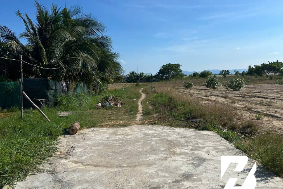 ĐẤT ĐẸP THÀNH HẢI – 1000m² đất CLN tại Thành Hải