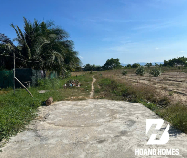 ĐẤT ĐẸP THÀNH HẢI – 1000m² đất CLN tại Thành Hải