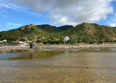 BÁN ĐẤT BIỂN – VIEW NÚI – VIEW ĐỒNG MUỐI TẠI TRI HẢI, NINH HẢI – NINH THUẬN 